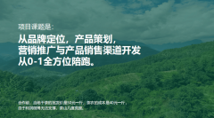 <b>力品牌实现价值跃升</b>