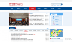 包含招投标天分查询、商情阐发帮手、投标技巧